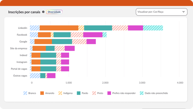 Tela - Dashboard - Diversidade